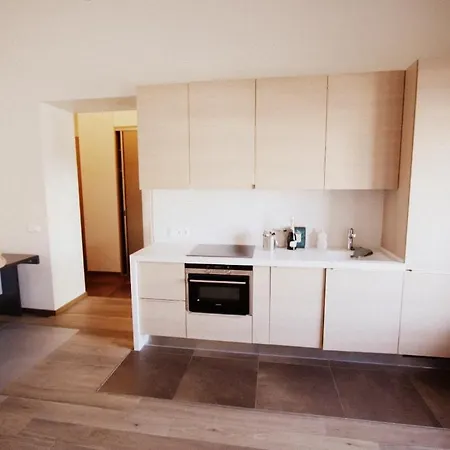 Apartment In Pylimo
